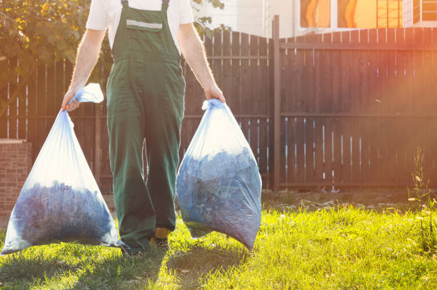 Best Basement Cleanout  in Lauderhill, FL